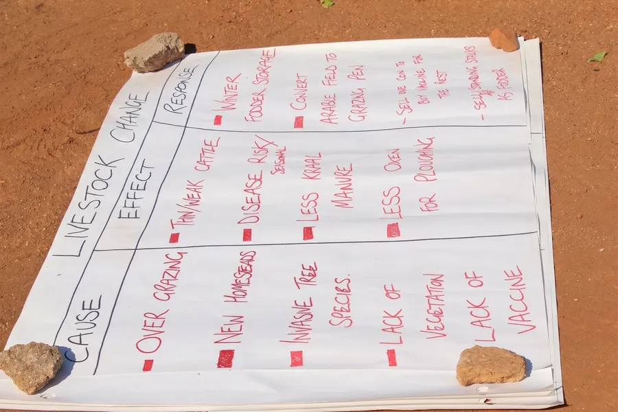 Workshop flip chart mapping livestock change causes, effects, and responses